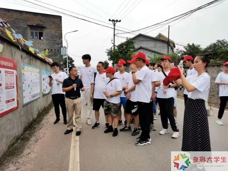 技术赋能产业，青春助力振兴——金华职业技术学院“三下乡”社会实践报告