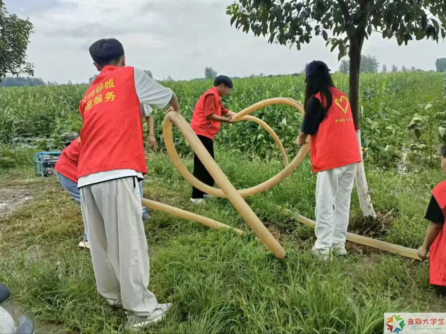 艺心织梦，绣美乡村：工艺美术品设计专业学子暑期非遗助力志愿服务实践报告