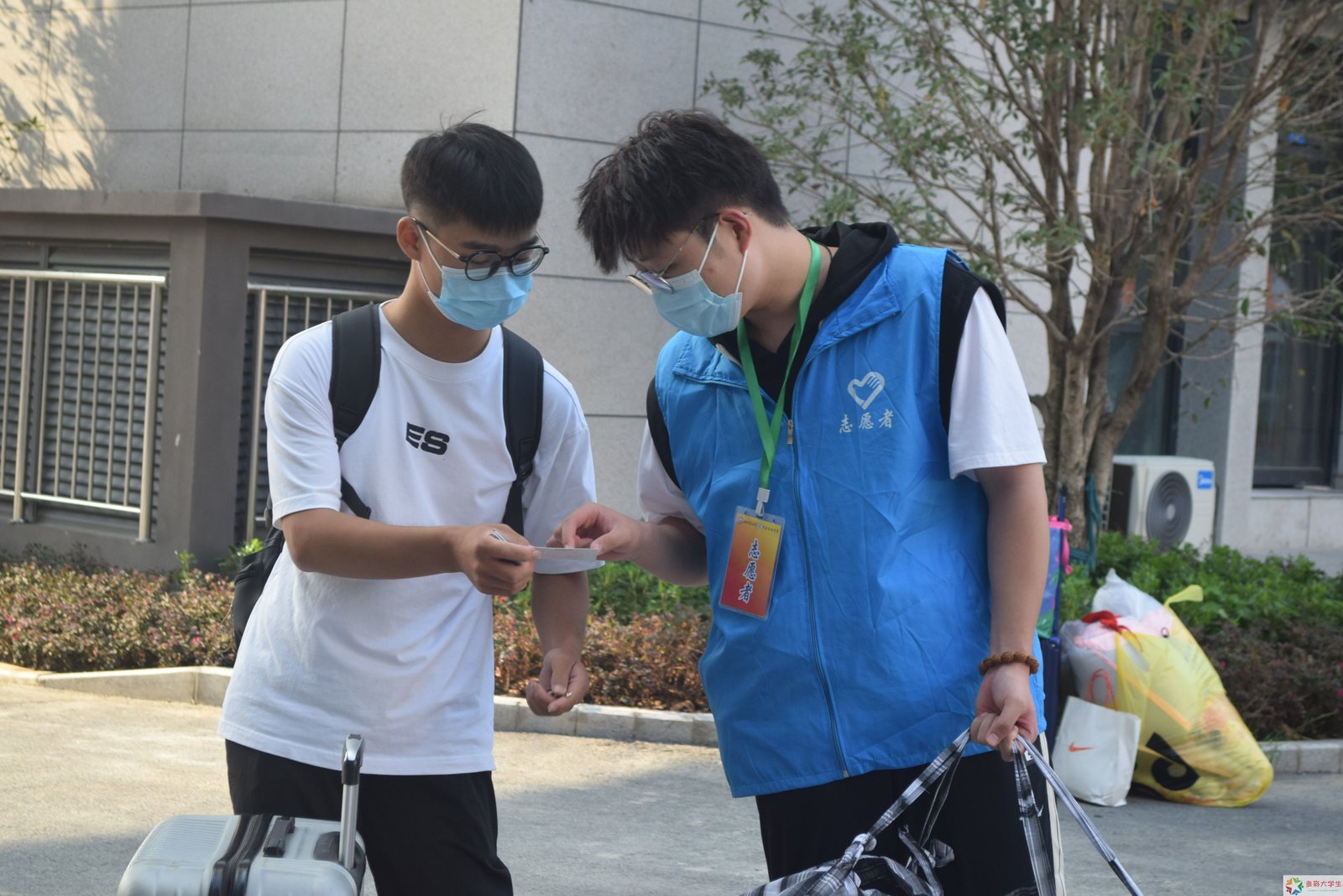 青心护绿：让山林在青春守护中常青