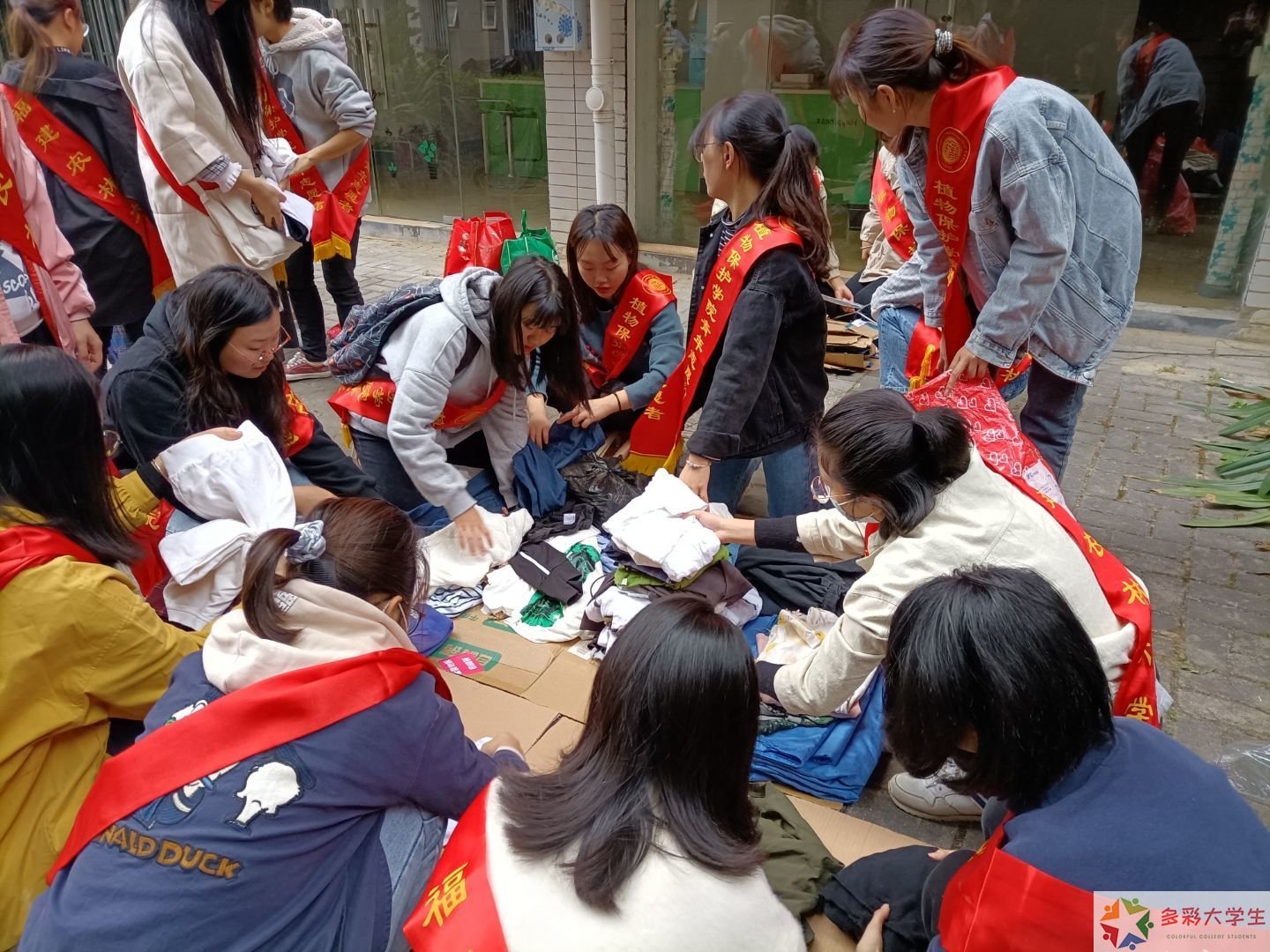 筑梦乡土：浙江建设职业技术学院学子暑期助力浙南山区传统村落保护实践纪实