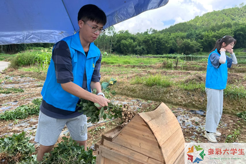 经纬之间：江苏工程职院学子寒假探寻纺织智造实践纪实