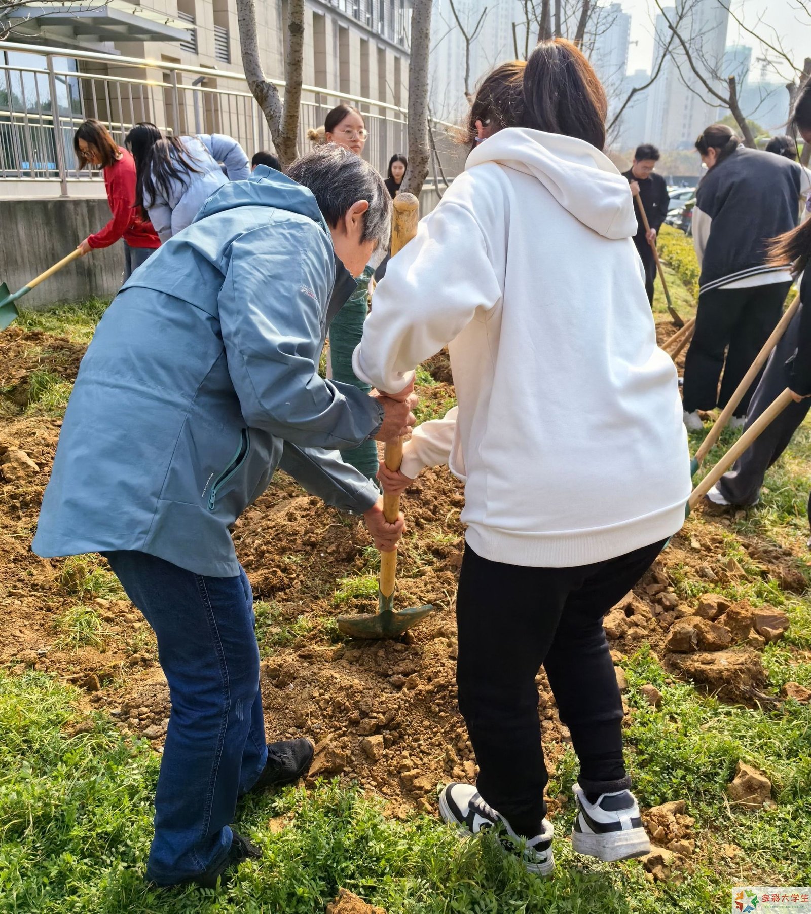 青春筑梦践初心 技赋能建新征程——山东职业学院2026年春季实践活动纪实