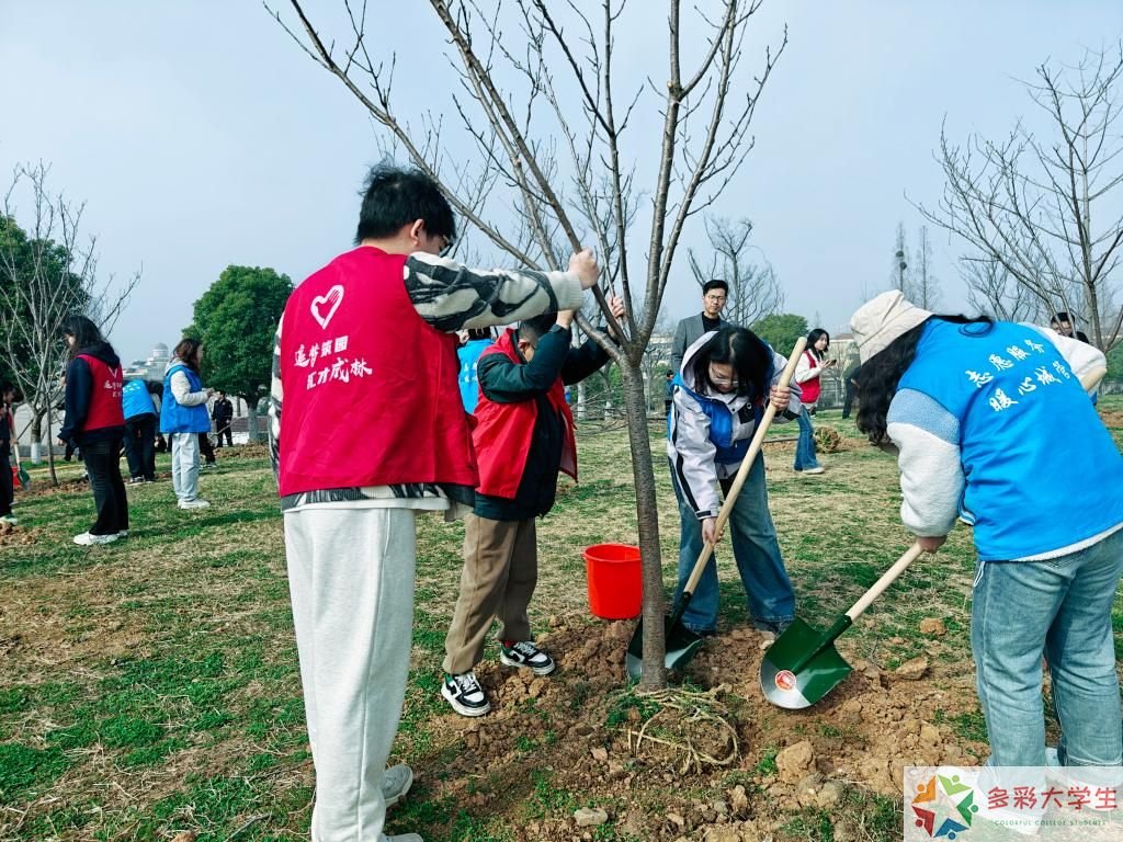 春满鹏城，技能兴农——深圳信息职业技术大学2026年春季实践活动纪实