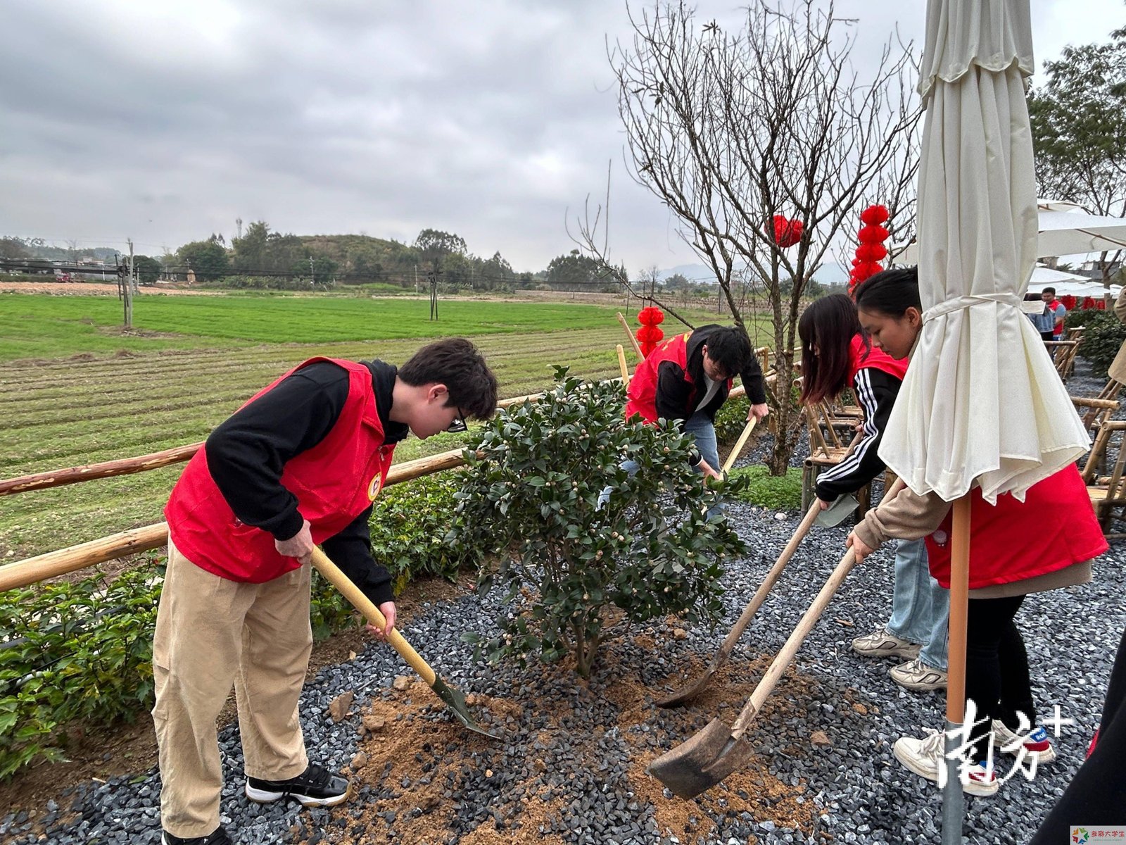 青春护老践初心 民政赋能暖民心——长沙民政职业技术学院2026年春季实践活动纪实