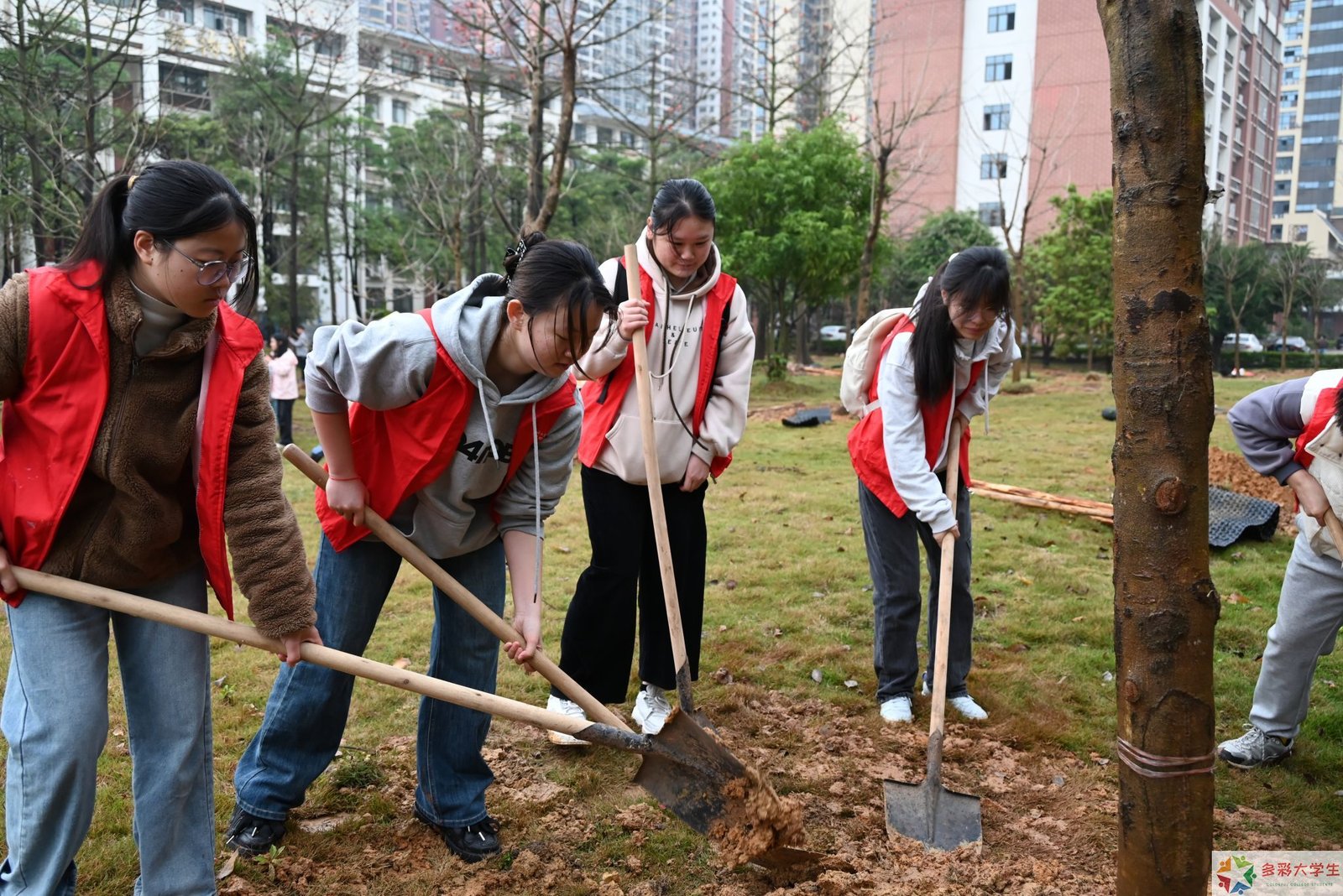 扬帆起航，匠心筑梦——浙江金融职业学院2026年春季社会实践活动纪实