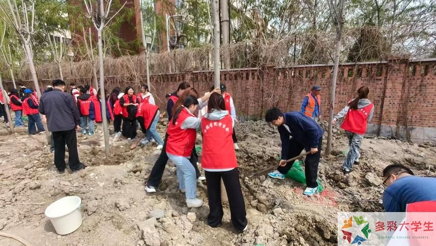 匠心传承，技展春华——杨凌职业技术学院2026年春季校内实践活动纪实