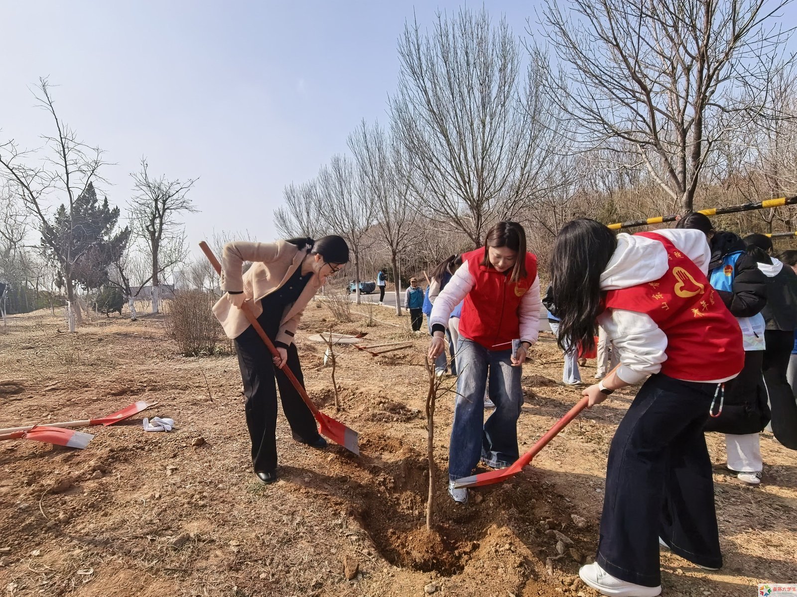 春耕践初心·药韵育新人——浙江药科职业大学2026年春季校内实践活动纪实